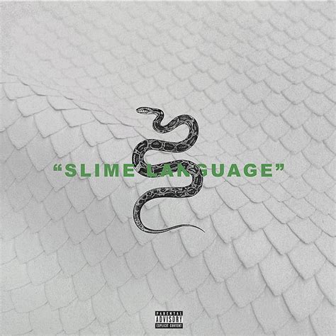 ysl slime wallpaper.